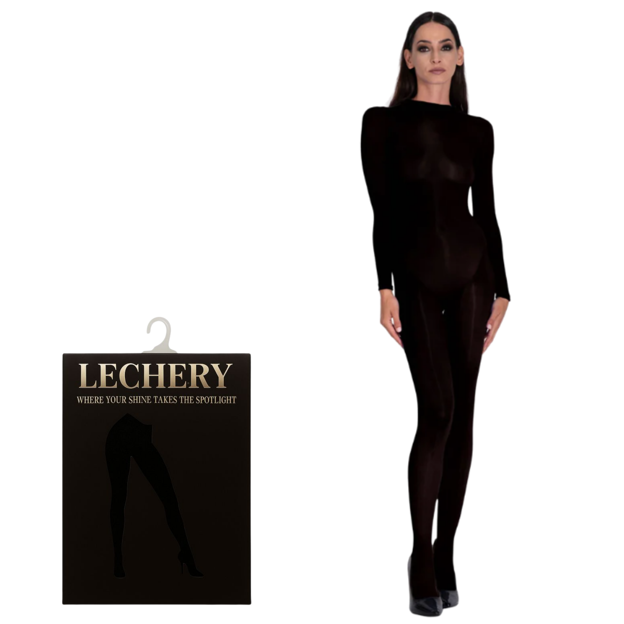 Lustrous Shiny Sheer Bodystocking